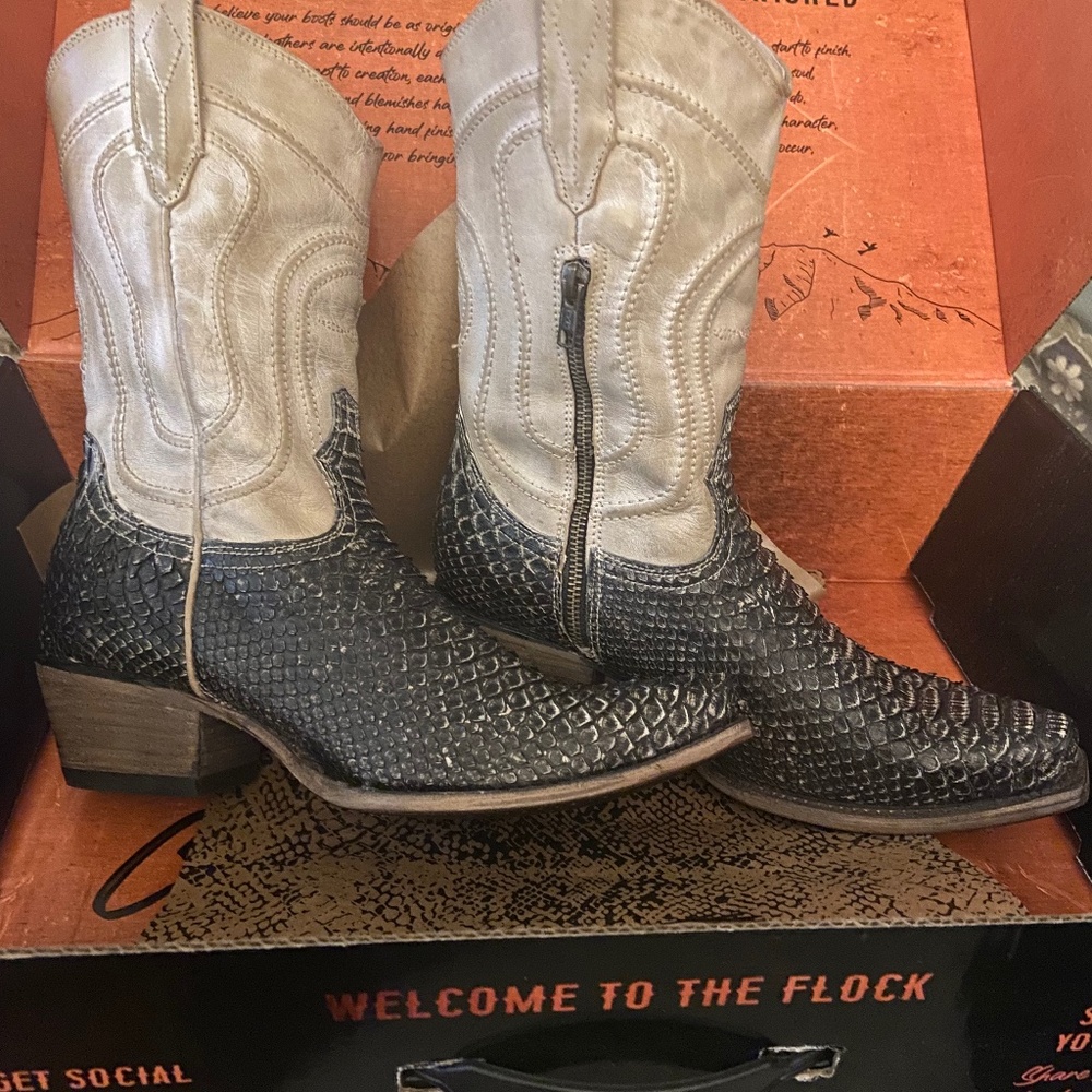 Freebird Warrick 9 New
